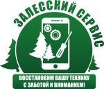 Логотип сервисного центра Залесский Сервис